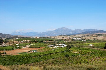 Fototapeta na wymiar Farmland and houses in the valley with views towards the mountains near Alora, Spain.