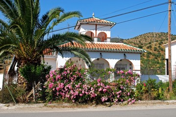 Pretty villa in the countryside with pink bushes and a palm tree in the foreground near Alora,...