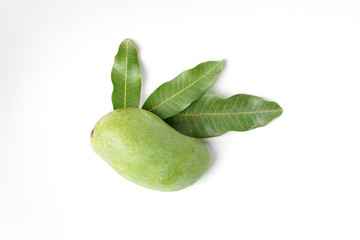 Mango fruit 