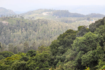 Fototapeta na wymiar Lush Green Trees and Hills from Servaroyan View Point in Top Tourist Destination Yercaud Hill Station in Tamil Nadu India