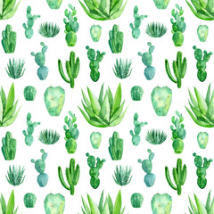 seamless pattern of watercolor green cacti, succulents, haworthia on a white background, hand-drawing, greeting card