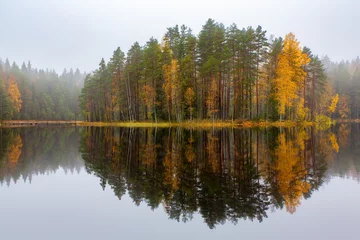 Finnischer Wald, der sich im Herbst im Wasser spiegelt © benschonewille