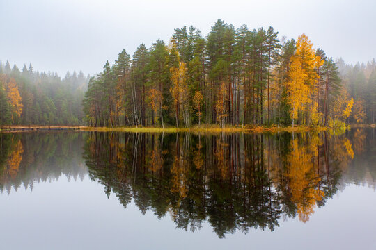 Finnish forest reflecting in water during fall