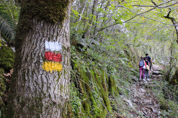 Camino de montaña