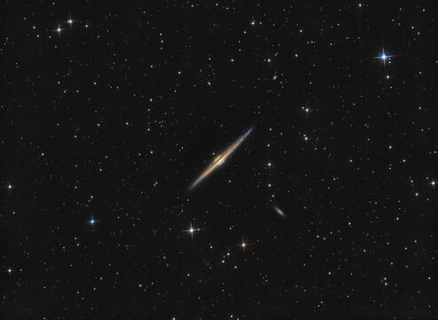 NGC 4565