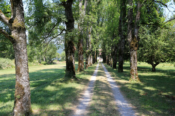 camino