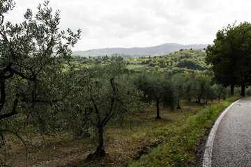 toscane 2