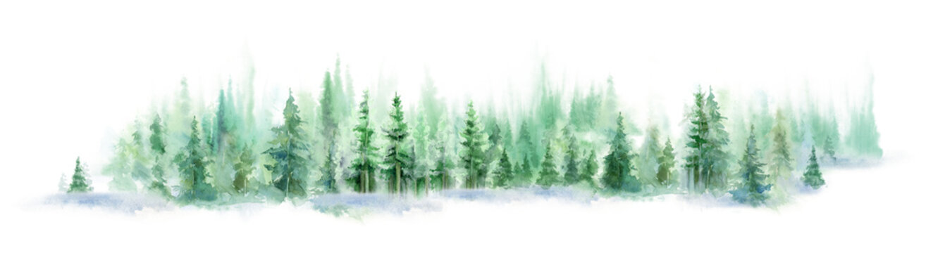 Landscape of foggy forest, winter hill. Wild nature, frozen, misty, taiga. watercolor background