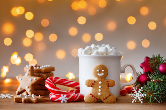 Gingerbread man, cup of hot cocoa with marshmallow and Christmas fir branch.