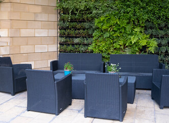 garden furniture in front of living wall planted with ivy and ferns