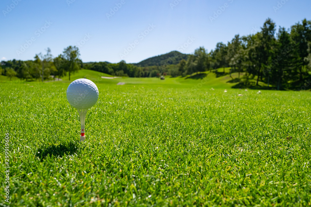 Wall mural Golf Ball on tee at the teeing area. Golf course with a rich green turf beautiful scenery.