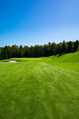 Golf Course with beautiful green field. Golf course with a rich green turf beautiful scenery.