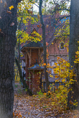 Old wooden house in autumn forest