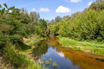 Fototapeta premium The Psel river in the autumn.