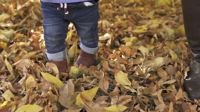 Close-up A little one-year-old boy, with his mother, in brown boots and blue jeans, learns to walk in an autumn park covered with yellow, gold and red foliage