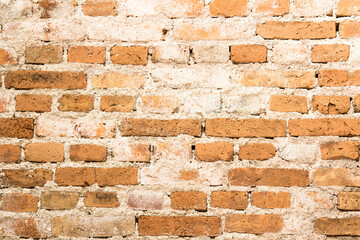 Background of brick wall texture