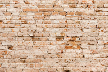 Background of brick wall texture