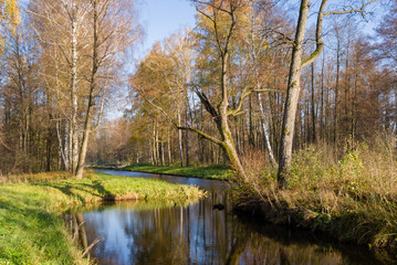 Park w zespole pałacowo-parkowym Branickich, Choroszcz. Muzeum Wnętrz Pałacowych w Choroszczycz .