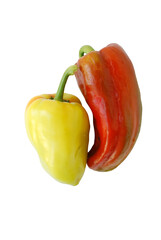 Red and yellow pepper on white backgroun. Photo illustration.