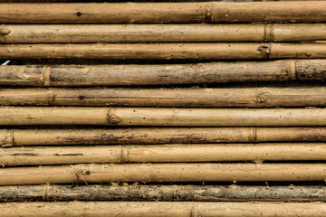 bamboo fence texture and background