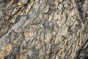 surface of the stone texture background