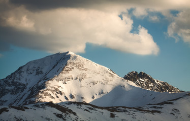Spring in Tatra Mountains with crocuses in valley Chocholowska 