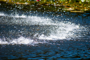 Water splashes and drops in park fountain pond