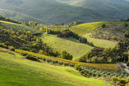 toscane 2