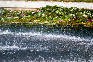 Water splashes and drops in park fountain pond