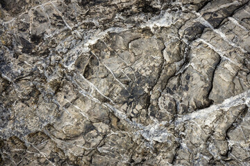 surface of the stone texture background
