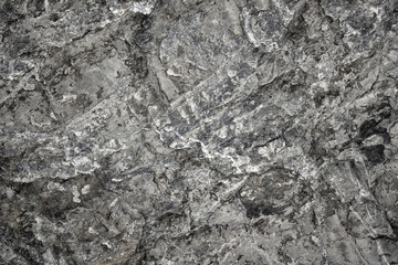 surface of the stone texture background