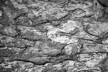 gray stone texture and background