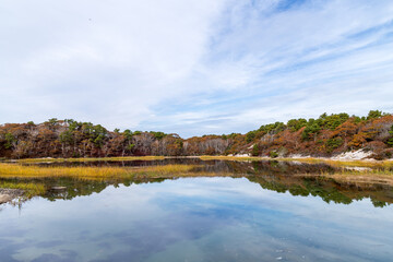 Fototapeta premium Autumn landscape with lake and trees, Provincetown, Cape Cod, Massachusetts