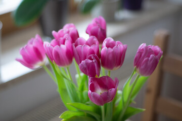 tulpe