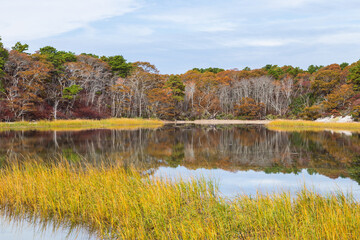 Autumn landscape with lake and trees, Provincetown, Cape Cod, Massachusetts