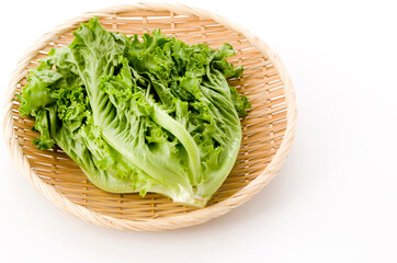 グリーンリーフ