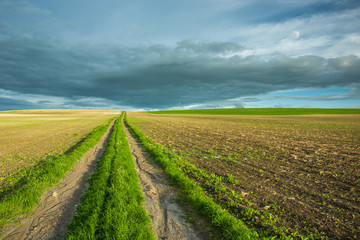 Obraz premium Dirt road overgrown with green grass and sown fields, gray clouds in the sky