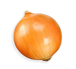 onion isolated on white clipping path