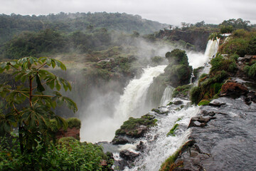The main attraction of Brazil and Argentina is the famous Iguazu Falls among the lush green jungle. Huge streams of water fall to the ground. UNESCO World Heritage. Picture from paradise.