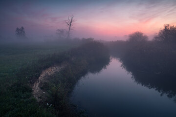 Dawn on a foggy day in the Jeziorka valley near Piaeczno, Poland