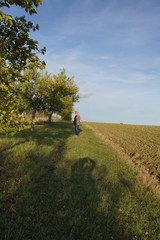 Landschaft Ochsenfurter Gau Nähe Gnodstadt