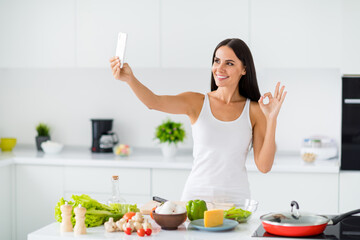 Portrait of positive house wife culinary blogger influencer make selfie video call show how she...