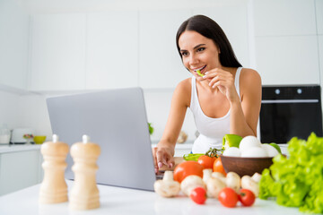 Portrait of positive cheerful housewife use her laptop searching cookery information watch culinary...