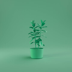 Green monochrome plant and vase on green background, 3d Rendering