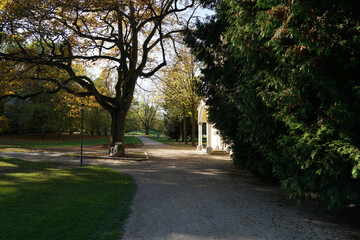 Well laid out path through a park invites you to go for a walk