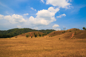 Fototapeta na wymiar scenary of glass field mountain with blue sky at Ranong Thailand