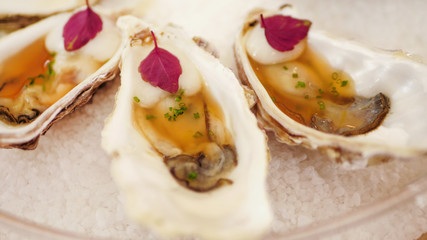 Tasty oysters served on coarse salt