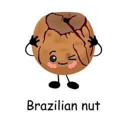 Brazilian nut. Vector illustration. Walnut character isolated on white background..