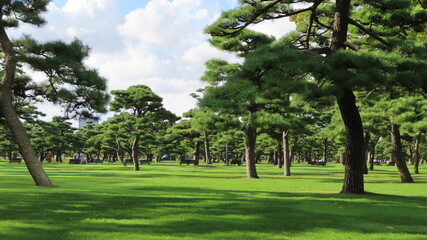 Fototapeta premium Nice views park on Tokyo - Japan
