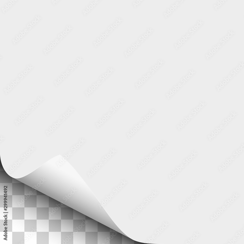 Wall mural vector lower left curl of corner of white sheet of paper.